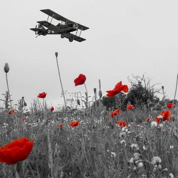 various - Picture 5 of 16